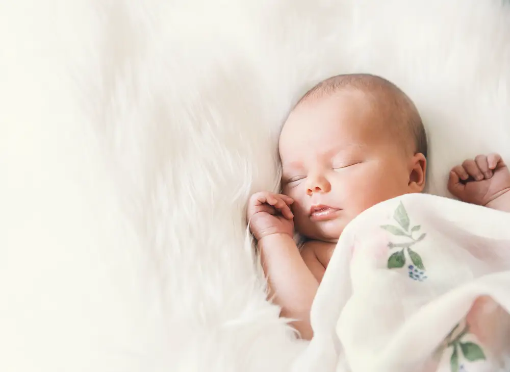 Regina Madwed of Capitol Photo: 10 Tips For Baby Portrait Photography